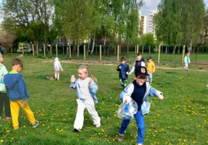 Zdjęcie 5 na 9